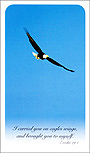 Soaring Eagle memorial card, printed in the USA
